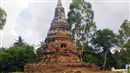su that ve da thien thach cuc quy xuat hien o tra vinh