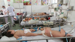 benh tay chan mieng dang can quet cac tinh phia nam