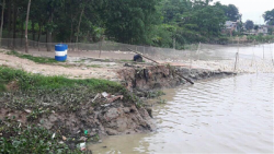 quang ninh cong ty thai son nao vet cat dan song trong lo so mat ruong mat nha