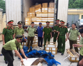 thanh hoa bat giu hon 30 ca the te te tren duong di tieu thu