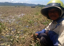 mua lu that thuong nong dan thiet hai hon 30 ty