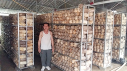 chuyen ve mo hinh nam duoc lieu doc dao cua nguoi cuu binh