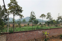 ha noi nong chuyen dat nong lam truong bi xe thit