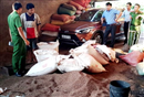 bat tam giam 5 doi tuong tron pin vao ca phe