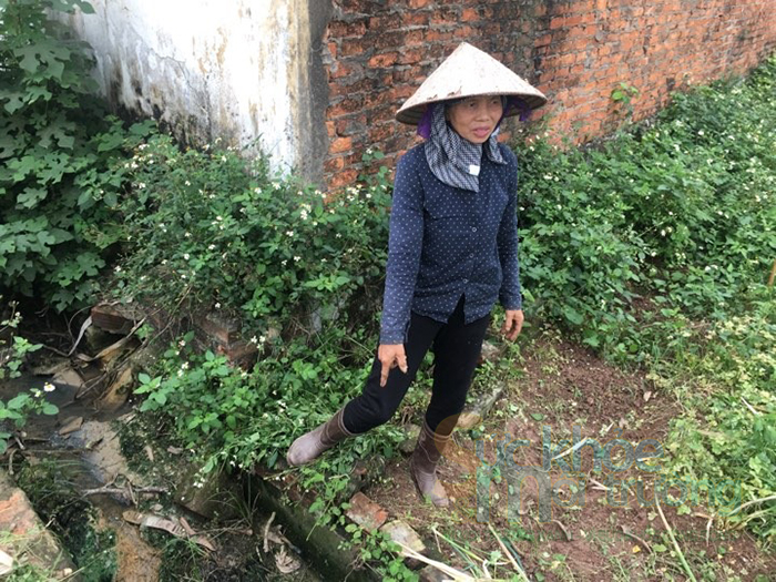 Chương Mỹ (Hà Nội): Người dân tố doanh nghiệp xả thải gây ảnh hưởng đến hoa màu