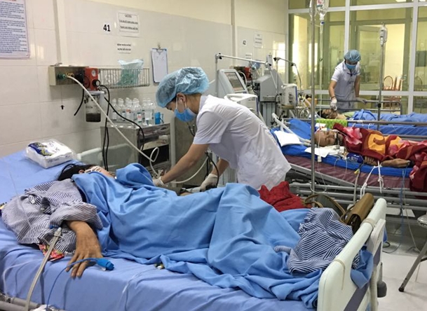 Bắc Kạn: Ăn nhầm lá ngón, 4 người trong một gia đình nguy kịch