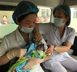 khoang 20 bac si mo bat con cho thai phu bi ung thu giai doan cuoi