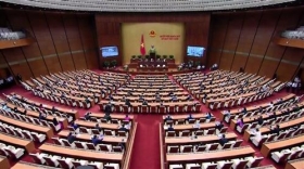 quoc hoi cho y kien ve thi diem to chuc mo hinh chinh quyen do thi tai da nang