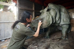 doanh nhan cam ket tay chay tieu thu dong vat hoang da