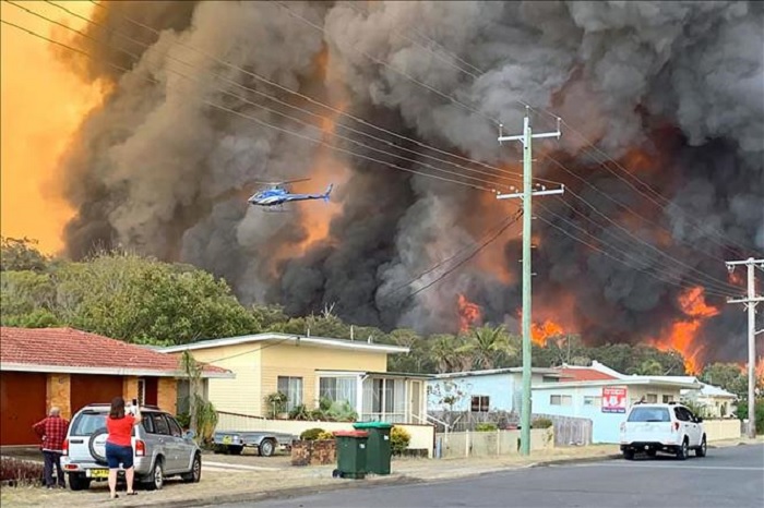 Australia: Hơn 400 người chết và 4.000 người nhập viện vì cháy rừng