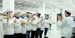 vinh phuc bat buoc xet nghiem covid 19 cho 100 nguoi lao dong o cac khu cong nghiep