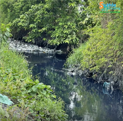 tp ho chi minh mot co so buc tu dong kenh ba xoa