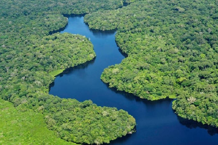 UNEP: 17% diện tích trái đất đã được bảo vệ