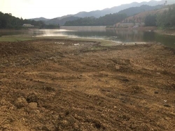 cong ty thuy loi phuc yen vinh phuc co dang cho thue dien tich mat nuoc trai quy dinh khong qua dau gia