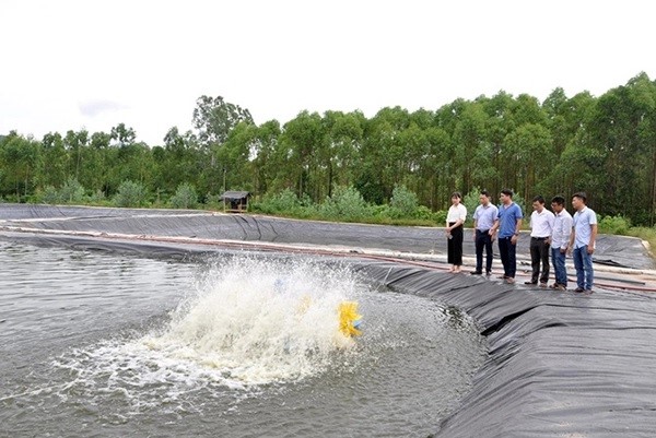 Hiệu quả ứng dụng khoa học c&ocirc;ng nghệ trong n&ocirc;ng nghiệp tại Vĩnh Ph&uacute;c