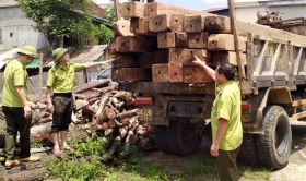 ha tinh loi dung nghi le tap ket 5m3 go trai phep