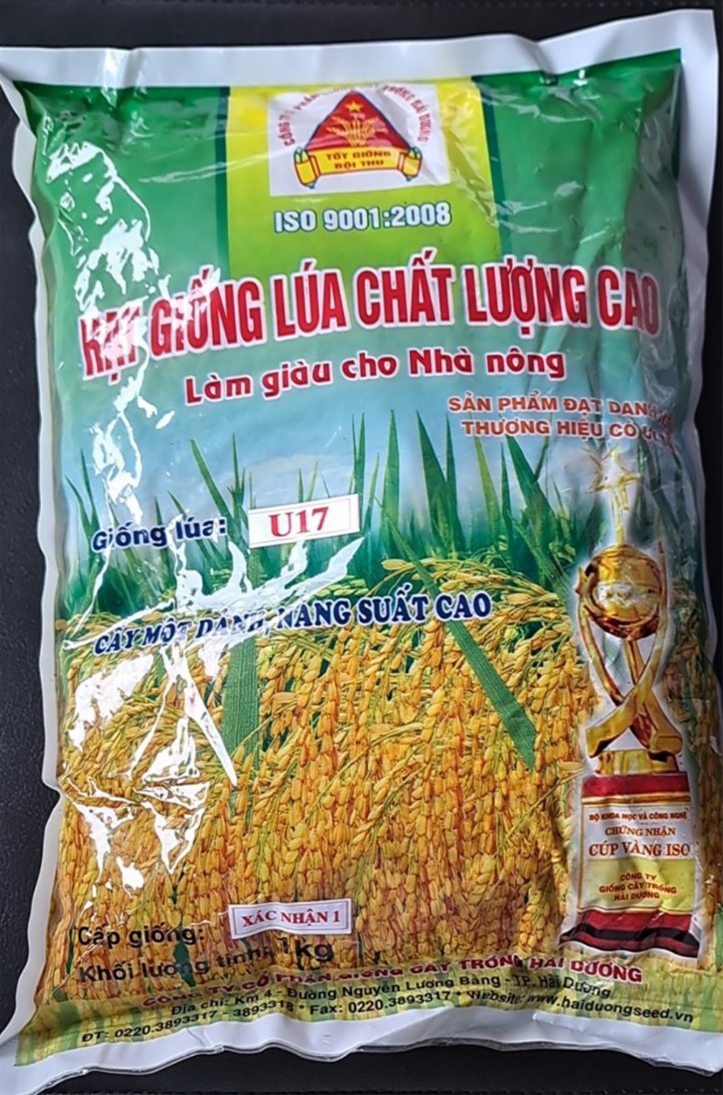 Lựa chọn giống lúa trong sản xuất nông nghiệp : Đừng để “tiền mất, tật mang”
