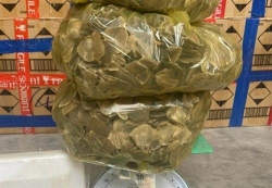 ha tinh buon gan 16kg vay te te mot thanh nien bi khoi to