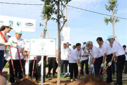 vinamilk trong hon 110000 cay xanh tai ba ria vung tau