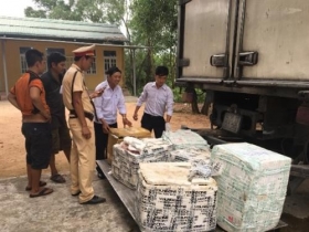 hue bat giu 300kg noi tang va thit dong vat boc mui hoi thoi