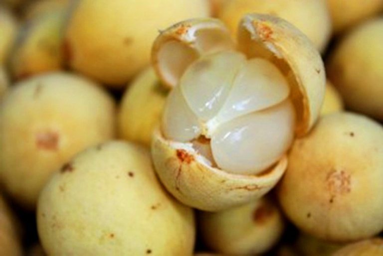 8 lợi &iacute;ch của quả b&ograve;n bon đối với b&agrave; bầu kh&ocirc;ng n&ecirc;n bỏ lỡ