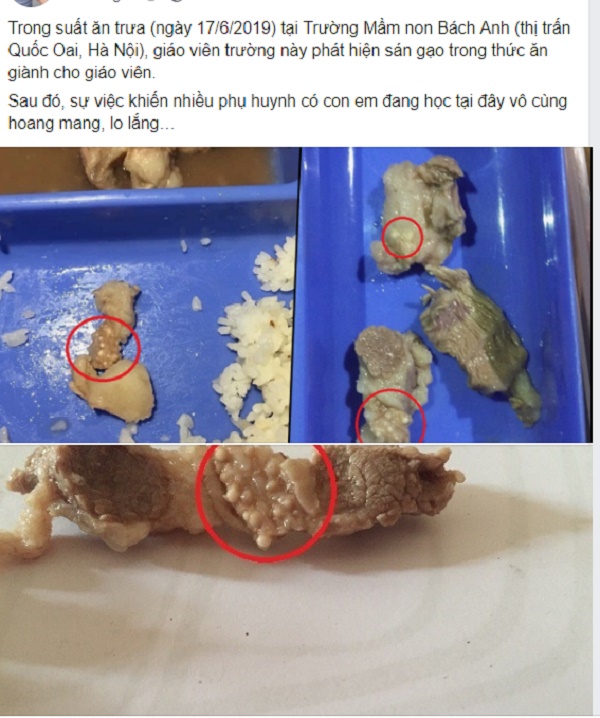 Quốc Oai (Hà Nội): Thịt lợn trong bữa ăn trưa tại Trường Mầm non Bách Anh nghi bị nhiễm sán gạo khiến dư luận xôn xao?