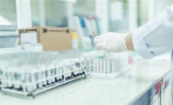 nhat ban thuc hien viec xet nghiem pcr bang mau nuoc bot