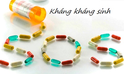 Nên coi AMR như đại dịch Covid -19