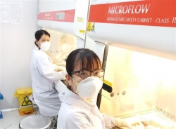 vien pasteur nha trang san sang chi vien cho cac diem nong