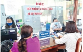he thong du lieu bhxh trien khai hieu qua cac goi ho tro doi voi nguoi lao dong va doanh nghiep bi anh huong boi covid 19