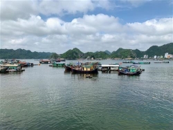 chu trong bao ve moi truong doi voi cac hoat dong du lich bien dao