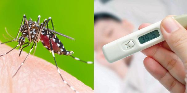 Cảnh báo nguy cơ bùng dịch sốt xuất huyết diện rộng