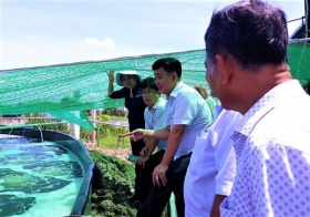 soc trang nguoi nuoi tom gap nhieu kho khan do thoi tiet