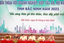 Bắc Ninh: Tháo gỡ khó khăn, phát huy sức mạnh nội sinh của doanh nghiệp, HTX, hộ kinh doanh