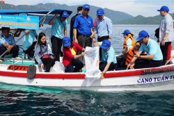 Công ty Yến sào Khánh Hòa thả 10.000 con cá biển giống các loại tái tạo nguồn lợi thủy sản tại vịnh Nha Trang