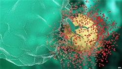 trien vong xoa so hivaids vao nam 2030