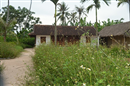 nghe an diu hiu khu luu niem dong chi phung chi kien