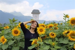 nong nhu the nay sao phai o thanh pho