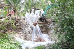 ben tre xuat hien o dich ta lon chau phi