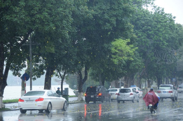 Dự báo thời tiết ngày 15/7: Vùng núi phía Bắc có mưa rào và dông