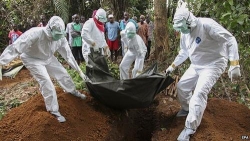 who xem dich ebola la tinh trang nguy cap toan cau