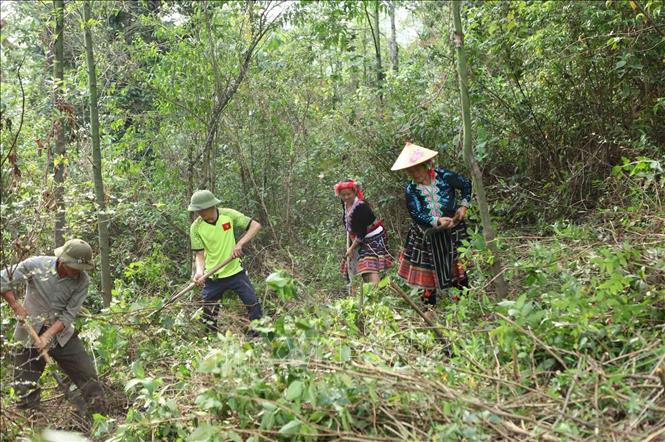 Chi trả dịch vụ môi trường rừng - Bài cuối: Sức mạnh từ sự đoàn kết giữ rừng