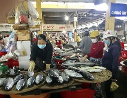 khanh hoa dung toan bo hoat dong van tai hanh khach lien tinh di va den