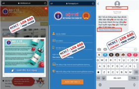 canh bao thu doan gia mao website cua bo y te de lua dao tro cap covid 19