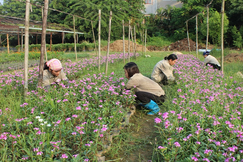Công ty Cổ phần Môi trường và Công trình Đô thị Bắc Ninh: Nỗ lực cùng người dân chung tay bảo vệ môi trường