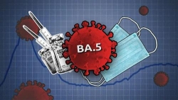 tp ho chi minh phat hien 3 ca nhiem bien the moi omicron ba4 ba5