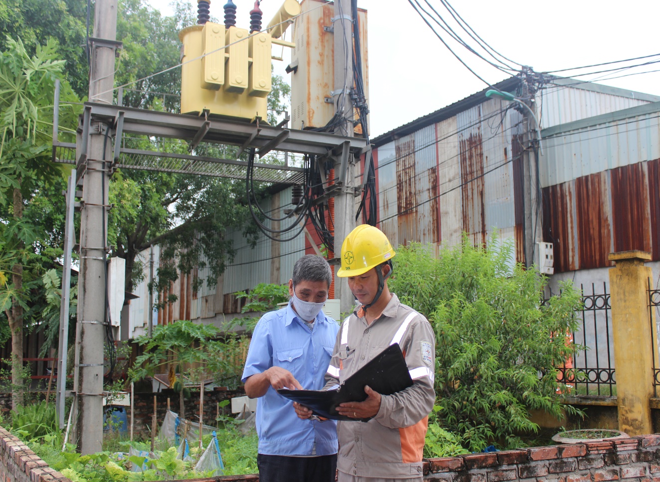 Công ty Điện lực Vĩnh Phúc:  Đảm bảo an toàn hành lang lưới điện