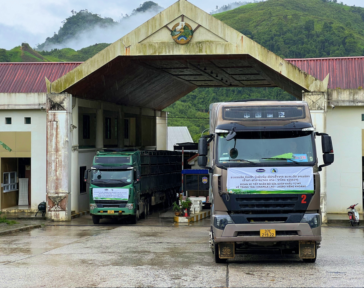 Vinamilk nhập 1000 bò sữa HF từ Mỹ về tổ hợp trang trại tại Lào