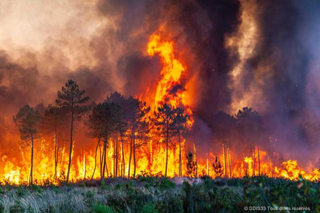 Nhiều nước châu Âu đang phải trải qua đợt năng nóng như đổ lửa