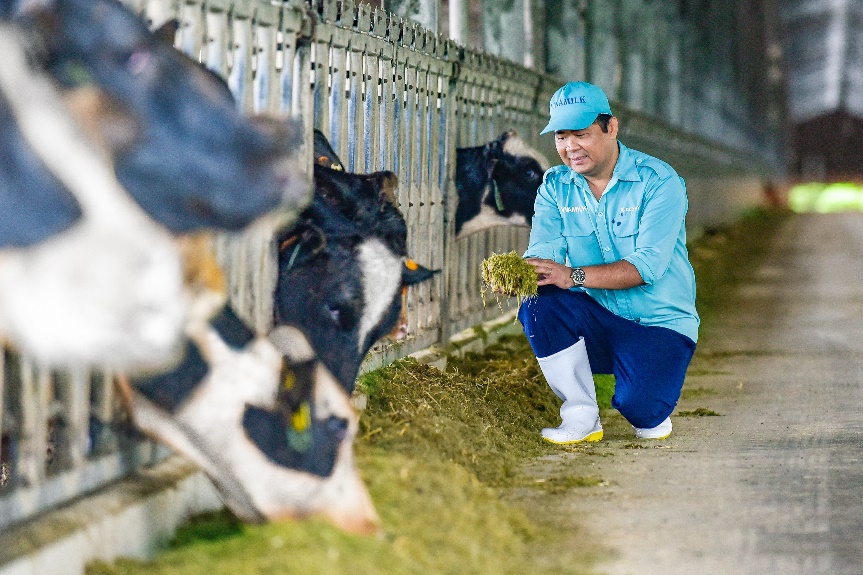Hệ thống trang trại sinh thái Vinamilk Green farm đón thêm 1.550 bò sữa nhập từ Mỹ